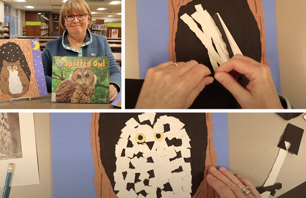 Video: Torn Paper Owl