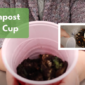Photo of compost in a red cup held by a person's hands.