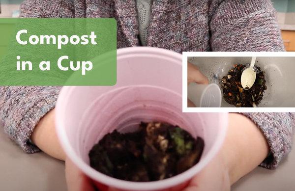 Video: Compost in a Cup