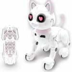 Power kitty robot toy